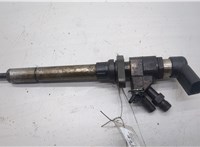  Форсунка топливная Citroen C4 2004-2010 20533387 #1