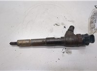 A6070700687 Форсунка топливная Mercedes Citan 2012-2021 20533563 #1