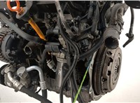  Компрессор кондиционера Audi A3 (8P) 2003-2013 11466391 #13