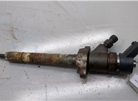 1980H2, 0445110239 Форсунка топливная Peugeot 307 2001-2008 20534737 #1