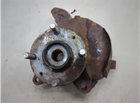 5171607160, 5175007001 Ступица (кулак, цапфа) KIA Picanto 2004-2011 20535126 #1