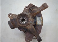 5171607160, 5175007001 Ступица (кулак, цапфа) KIA Picanto 2004-2011 20535126 #2