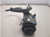  Компрессор кондиционера Opel Meriva 2003-2010 20533878 #8