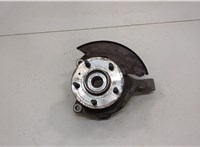  Ступица (кулак, цапфа) Chevrolet Captiva 2011-2016 20534825 #1