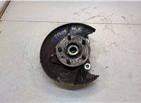 5308059, 13219081, 328042, 13507374 Ступица (кулак, цапфа) Opel Insignia 2008-2017 20536370 #1