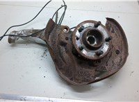 RFM500010, RUB000234, SEC000172 Ступица (кулак, цапфа) Land Rover Discovery 3 2004-2009 20536781 #1