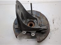 33321095239, 33411095417 Ступица (кулак, цапфа) BMW X5 E53 2000-2006 20536786 #2