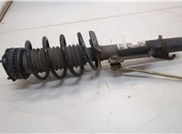 1329534 Амортизатор подвески Ford Fiesta 2001-2007 20537772 #1
