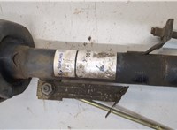 1329534 Амортизатор подвески Ford Fiesta 2001-2007 20537772 #2