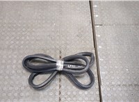4B9833721E Уплотнитель Audi A6 (C5) Allroad 2000-2006 20538164 #1