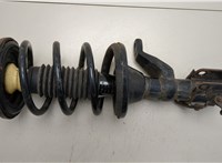 51602SCVA16, 51401SCVJ01, 51925S6M014 Амортизатор подвески Honda Element 2002-2011 20538194 #1