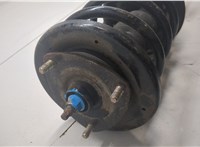 51602SCVA16, 51401SCVJ01, 51925S6M014 Амортизатор подвески Honda Element 2002-2011 20538194 #5