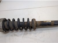 31316781920 Амортизатор подвески BMW X5 E70 2006-2013 20538223 #1