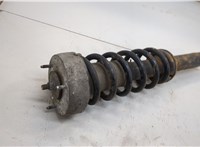 31316781920 Амортизатор подвески BMW X5 E70 2006-2013 20538223 #3