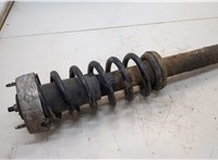 31316781920 Амортизатор подвески BMW X5 E70 2006-2013 20538322 #1
