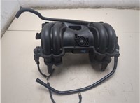 030253031H Коллектор впускной Seat Arosa 1997-2004 20538586 #8