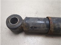  Амортизатор подвески Man TGM 2005-2021 20538831 #6