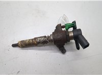 1980ER Форсунка топливная Citroen C5 2008-2017 20538915 #1