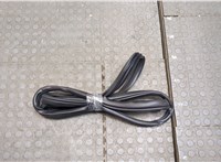  Уплотнитель Mazda 6 (GJ) 2012-2018 20538963 #1