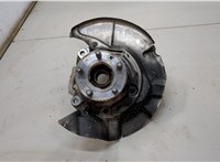 LR179007, LR114244 Ступица (кулак, цапфа) Land Rover Range Rover Evoque 2018-2025 20539015 #1
