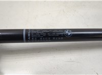 7295205  BMW 4 F32 2013-2021 20539224 #3
