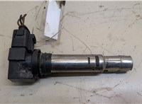  Катушка зажигания Volkswagen Polo 2001-2005 20539234 #1