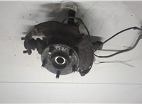 4350242020, 4321142060 Ступица (кулак, цапфа) Toyota RAV 4 2000-2005 20539411 #3