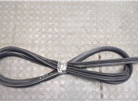  Уплотнитель Ford Explorer 2010-2015 20539417 #1