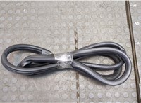 Уплотнитель Volkswagen Taos 20539423 #1