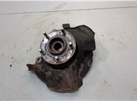 517503J000, 517162B050, 517563J700 Ступица (кулак, цапфа) Hyundai Santa Fe 2005-2012 20539443 #1