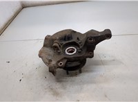 517503J000, 517162B050, 517563J700 Ступица (кулак, цапфа) Hyundai Santa Fe 2005-2012 20539443 #2