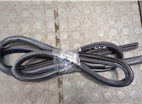  Уплотнитель Mitsubishi Montero Sport / Pajero Sport 1996-2008 20539559 #1