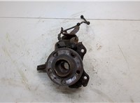 6Q0407621BR, 6Q0407256S Ступица (кулак, цапфа) Skoda Roomster 2006-2015 20539579 #1