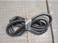  Уплотнитель Buick Enclave 2007-2013 20539978 #1