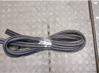  Уплотнитель BMW 7 E65 2001-2008 20539984 #1