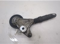 059145201F Натяжитель приводного ремня Volkswagen Touareg 2007-2010 20540367 #2