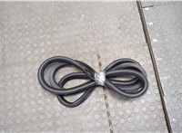 Уплотнитель Buick Encore GX 2019-2024 20540438 #1