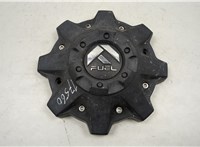  Колпачок литого диска Ford F-250 2010-2016 20540624 #1