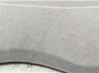  Полка багажника Ford Focus 2 2008-2011 20540762 #2