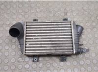 701145805A Радиатор интеркулера Volkswagen Transporter 4 1991-2003 20540982 #1