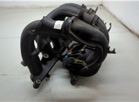  Коллектор впускной Ford Fiesta 2001-2007 20541387 #7