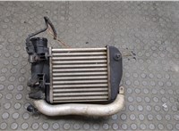  Радиатор интеркулера Audi A6 (C6) 2004-2011 20541471 #2