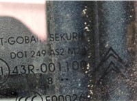 9101GH, 910962 Ручка двери наружная Citroen C4 Picasso 2006-2013 11469227 #4