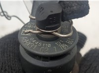 13537789661, 7789661 Форсунка топливная BMW X5 E53 2000-2006 20542536 #3