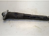 1EA513049AM Амортизатор подвески Volkswagen ID.4 20542889 #1