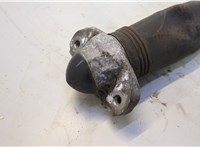 1EA513049AM Амортизатор подвески Volkswagen ID.4 20542889 #2