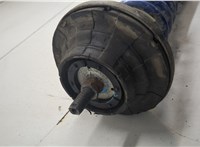7H0413031N, 7E0411105A Амортизатор подвески Volkswagen Transporter 5 2003-2015 20543305 #7