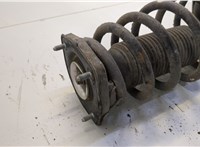 553510Z001, 553300Z100 Амортизатор подвески KIA Sportage 2004-2010 20543441 #2