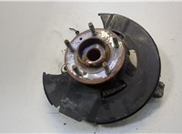 13248526, 13502829 Ступица (кулак, цапфа) Opel Zafira C 2011-2019 20543077 #1