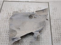  Защита арок (подкрылок) Renault Scenic 2003-2009 20544379 #2